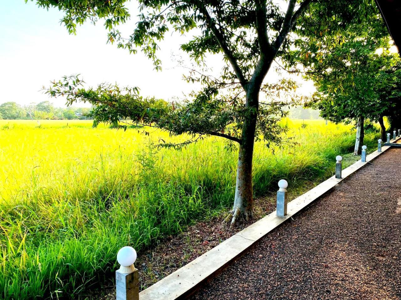 Athyantha Resort Anuradhapura Exterior foto